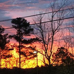 Meet your Posher, Izzy